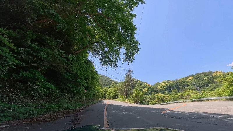 頼朝ライン